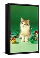 Kitten with Christmas Bulbs, Retro-null-Framed Stretched Canvas