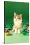 Kitten with Christmas Bulbs, Retro-null-Stretched Canvas