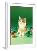 Kitten with Christmas Bulbs, Retro-null-Framed Art Print