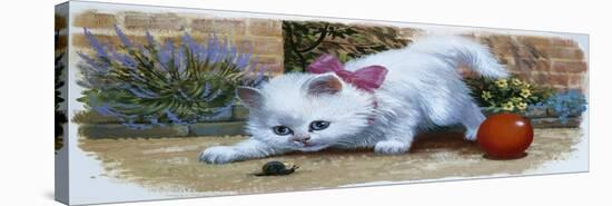 Kitten with Snail and Ball-English School-Stretched Canvas