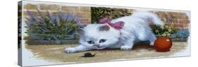 Kitten with Snail and Ball-English School-Stretched Canvas