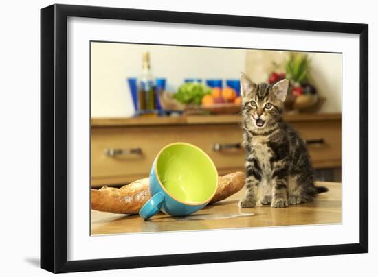 Kitten with Spilt Milk-null-Framed Photographic Print