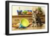 Kitten with Spilt Milk-null-Framed Photographic Print