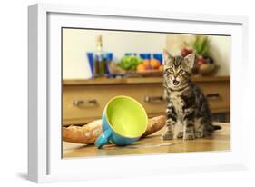 Kitten with Spilt Milk-null-Framed Photographic Print