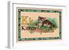 Kitten-null-Framed Premium Giclee Print