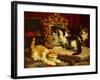 Kittens, 1893-Charles Van Den Eycken-Framed Art Print