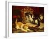 Kittens, 1893-Charles Van Den Eycken-Framed Art Print