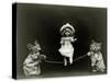 Kittens and a Doll Skipping, 1891-null-Stretched Canvas