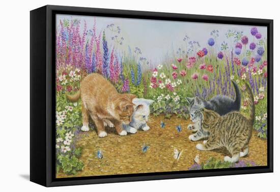 Kittens and Butterflies-Janet Pidoux-Framed Stretched Canvas