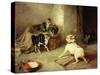 Kittens and Dog, 1881-Walter Hunt-Stretched Canvas