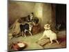 Kittens and Dog, 1881-Walter Hunt-Mounted Giclee Print