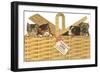 Kittens and Dogs in a Basket-null-Framed Art Print