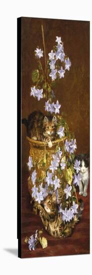 Kittens and Flowers, c.1903-Wilson Hepple-Stretched Canvas