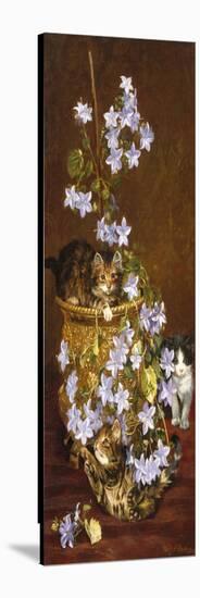 Kittens and Flowers, c.1903-Wilson Hepple-Stretched Canvas