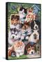 Kittens and Puppies in the Garden-Jenny Newland-Framed Stretched Canvas