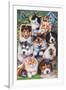 Kittens and Puppies in the Garden-Jenny Newland-Framed Giclee Print