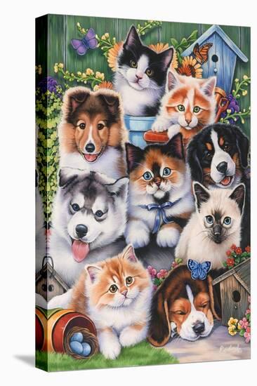 Kittens and Puppies in the Garden-Jenny Newland-Stretched Canvas