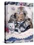 Kittens and Teddy Bear-Jenny Newland-Stretched Canvas