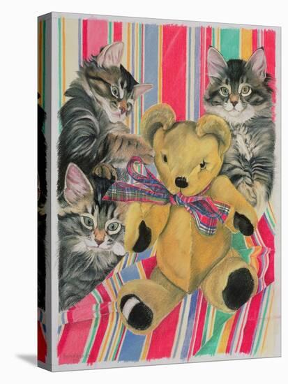Kittens and Teddy-Anne Robinson-Stretched Canvas