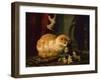 Kittens at Play (oil on panel)-Henriette Ronner-Knip-Framed Giclee Print