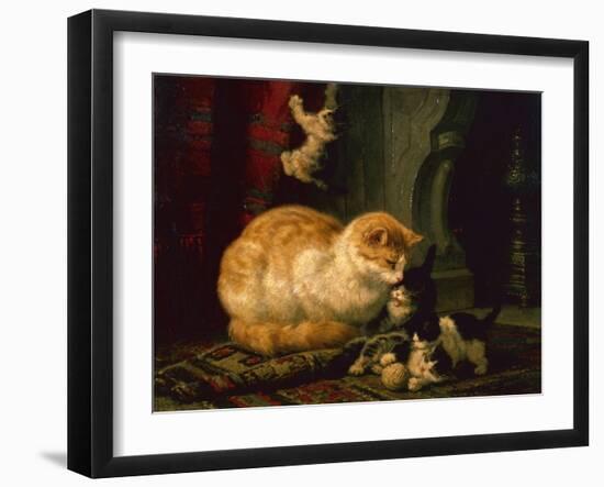 Kittens at Play (oil on panel)-Henriette Ronner-Knip-Framed Giclee Print