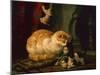 Kittens at Play (oil on panel)-Henriette Ronner-Knip-Mounted Giclee Print