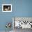 Kittens at Play-Charles Van Den Eycken-Framed Giclee Print displayed on a wall