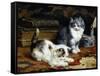 Kittens at Play-Charles Van Den Eycken-Framed Stretched Canvas