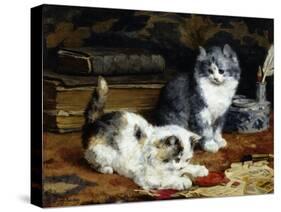 Kittens at Play-Charles Van Den Eycken-Stretched Canvas