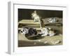 Kittens at Play-Siegwald Dahl-Framed Giclee Print