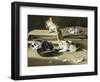 Kittens at Play-Siegwald Dahl-Framed Giclee Print