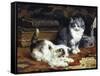 Kittens at Play-Charles Van Den Eycken-Framed Stretched Canvas