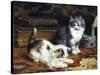 Kittens at Play-Charles Van Den Eycken-Stretched Canvas
