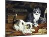 Kittens at Play-Charles Van Den Eycken-Mounted Giclee Print