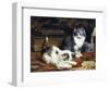 Kittens at Play-Charles Van Den Eycken-Framed Giclee Print