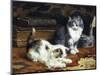 Kittens at Play-Charles Van Den Eycken-Mounted Giclee Print