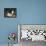 Kittens at Play-Charles Van Den Eycken-Framed Stretched Canvas displayed on a wall