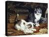 Kittens at Play-Charles Van Den Eycken-Stretched Canvas