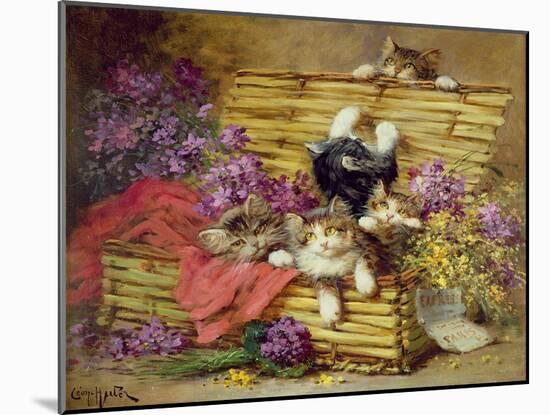 Kittens at Play-Leon-charles Huber-Mounted Giclee Print