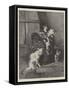 Kittens at Play-null-Framed Stretched Canvas