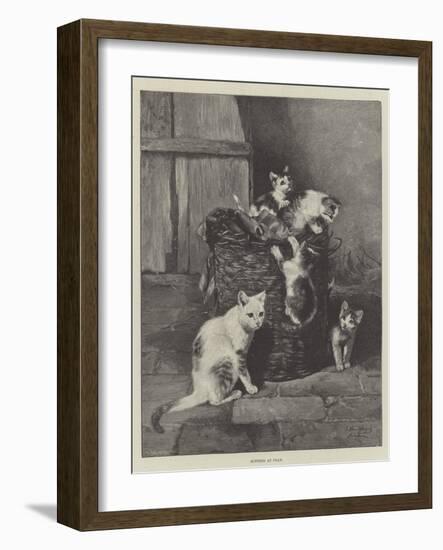 Kittens at Play-null-Framed Giclee Print