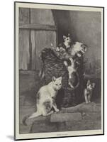 Kittens at Play-null-Mounted Giclee Print