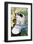 Kittens In A Mailbox-Blueiris-Framed Photographic Print