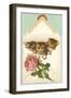 Kittens in Envelope with Rose-null-Framed Art Print