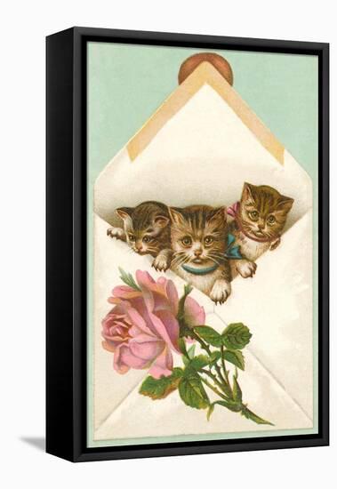 Kittens in Envelope with Rose-null-Framed Stretched Canvas