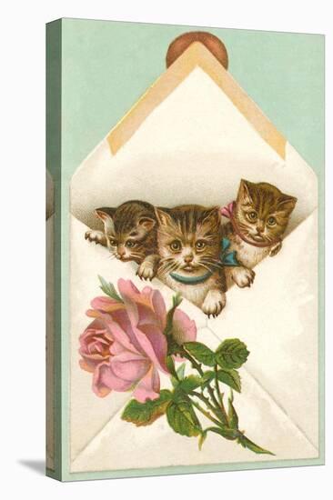 Kittens in Envelope with Rose-null-Stretched Canvas