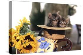 Kittens in Hat with Flowers-null-Stretched Canvas