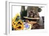 Kittens in Hat with Flowers-null-Framed Photographic Print