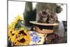 Kittens in Hat with Flowers-null-Mounted Photographic Print