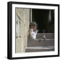 Kittens in Rhodes Old Town-CM Dixon-Framed Photographic Print